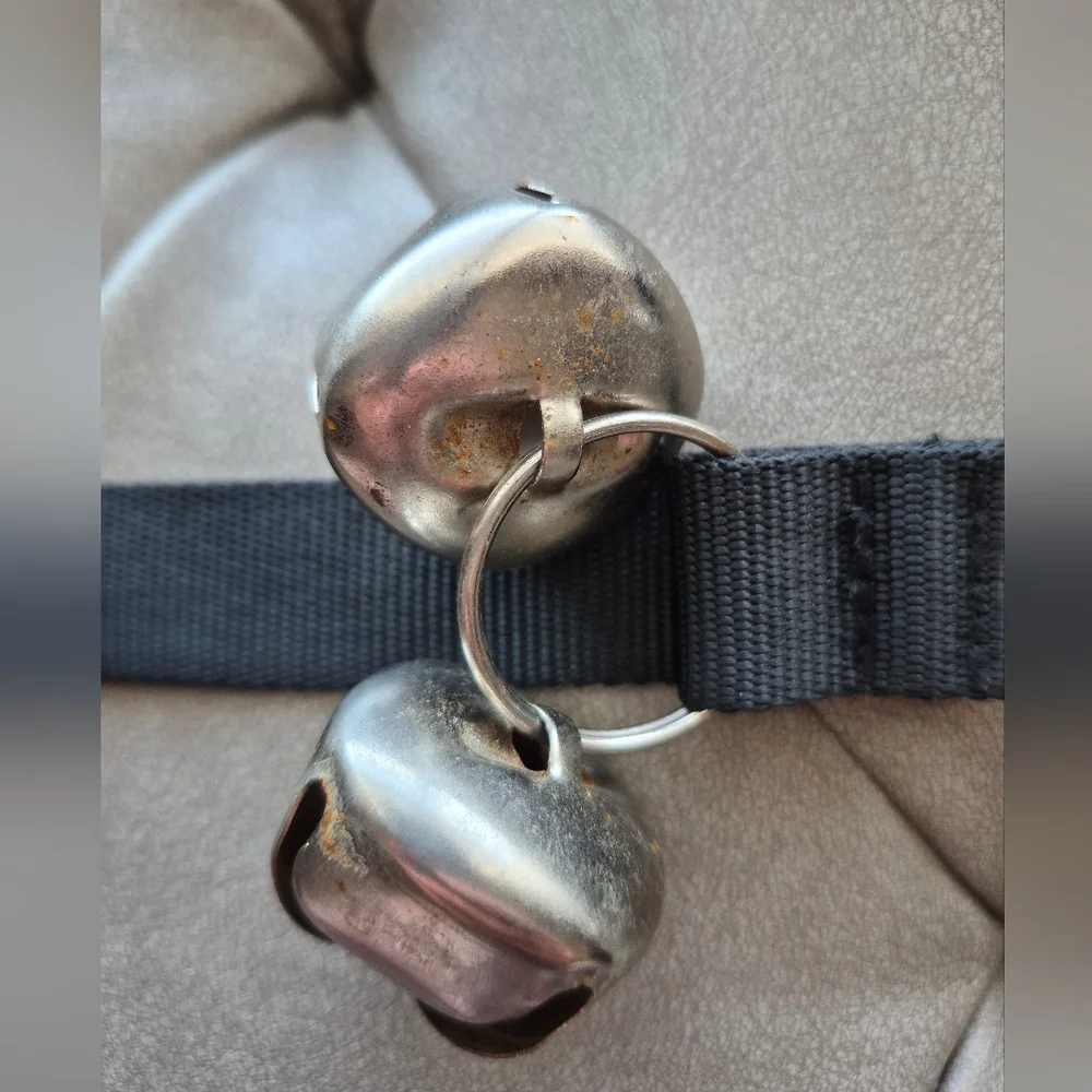 Potty Training Doggy Door Bells